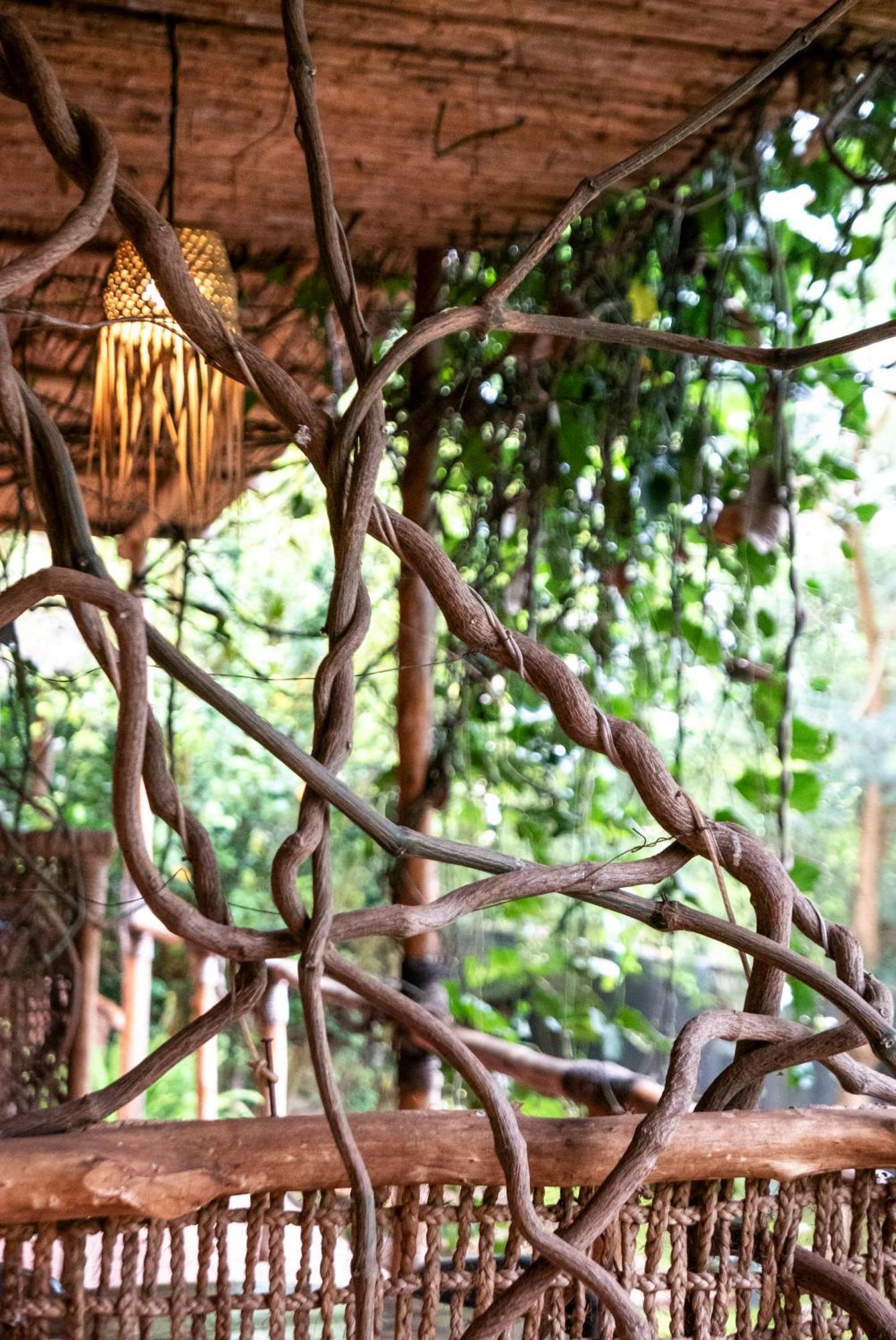 Akagera Transit Lodge المظهر الخارجي الصورة