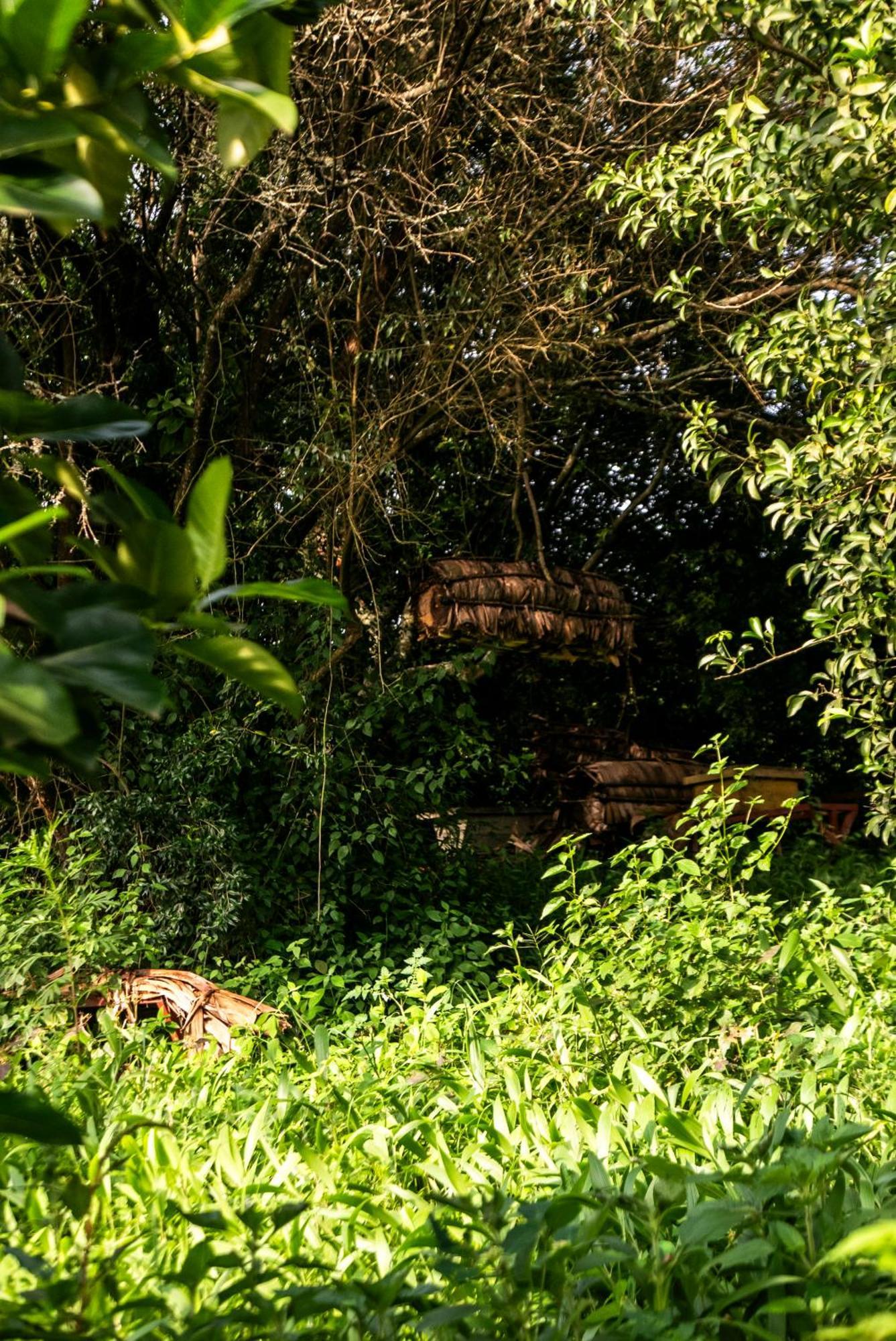 Akagera Transit Lodge المظهر الخارجي الصورة